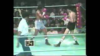 Lupe Pintor vs Tony Rocha full fight [upl. by Sairu]