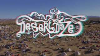 Desert Daze 2016 Official Recap [upl. by Nepsa652]