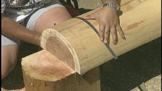 Building log cabin Cutting Dovetail Notches [upl. by Anitsyrk133]