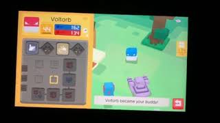 Shiny Voltorb in Pokémon Quest Evolve into Electrode [upl. by Janis]