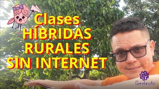 Como hacer CLASES HIBRIDAS RURALES para educar a nuestro campesinos latinos [upl. by Odyssey513]