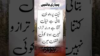 insan jab kisi ke parwah krta he to youtubeshorts aqwalcollection aqwalezareen bestquotes [upl. by Houston955]