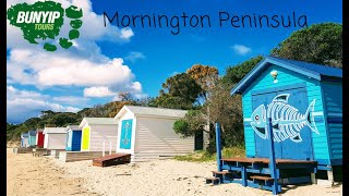 Mornington Peninsula Ultimate Day Tour [upl. by Silloh]