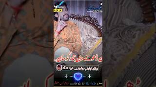 Wajid Ali Baghdadi New Song 2024 newvideos viralvideos songs newsong videos songstatus [upl. by Airamasor]