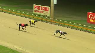 Rockhampton23102024Race7 [upl. by Thatcher]