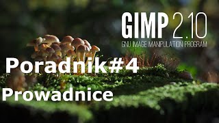 GIMP4 Prowadnice Lekcja GIMP [upl. by Nahsrad]