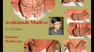 Sri Vidya Avahanadi Mudras By Krishna [upl. by Nylcoj]