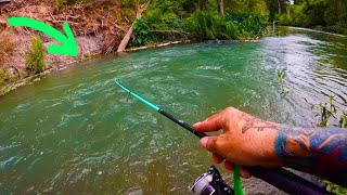 Is this the PRETTIEST wade fishing spot in Texas Multispecies day [upl. by Arezzini600]