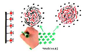 Introduction to Hydrophobic Interaction Chromatography [upl. by Ellesij]