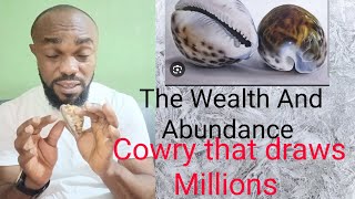 How to use the wealth Cowries to draw wealthcowriesusa [upl. by Aneelas]