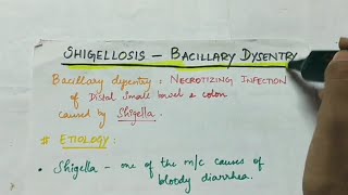 Shigellosis  Bacillary dysentery  Microbiology  Handwritten notes [upl. by Brenton]