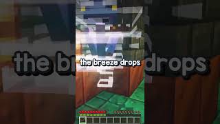 Minecraft 121 quotTricky Trialsquot  Whats in it [upl. by Aleunam]