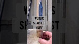 Worlds sharpest knife shorts ontarioknives survivalknife fixedbladeknife edcknife [upl. by Phare995]