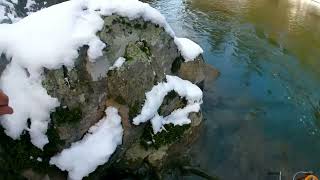 winter steelhead fishing on Wallowa River march 2023 [upl. by Epp]