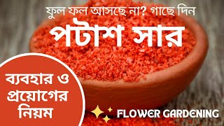 পটাশ সারের ব্যবহার  Potash Fertilizer Usage  Best Chemical Fertilizer For Flowering Plants [upl. by Vi]