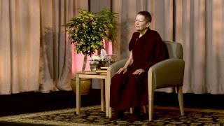 Pema Chödrön What to Do When You Lose It Completely [upl. by Rianon105]