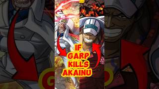 What if garp kills akainu onepiece garp [upl. by Noyk]