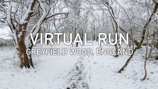 Virtual Run  Greyfield Wood in Winter  Treadmill Running Scenery [upl. by Aneleve]