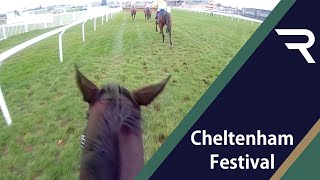 quotGO ON FRODONquot Ride the 2021 Cheltenham Gold Cup with Frodon and Bryony Frost INCREDIBLE footage [upl. by Rocher]