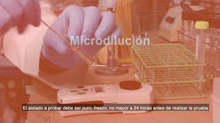 5 Pruebas de susceptibilidad a los antimicrobianos Método de dilución en caldo [upl. by Bivins911]