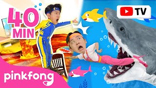 Run Away with Hoi and Sammy  Escape from the Sharks  More  Animal Songs  Official Pinkfong [upl. by Esorbma]