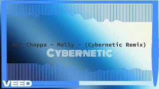 NLE Choppa  Molly  Cybernetic Remix [upl. by Aerised718]