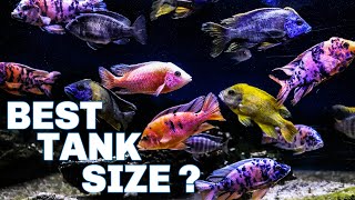 African Cichlids  Which Tank Size Should You Get [upl. by Hcire]