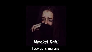 Amine Matlo  Nwekel Rabi SLOWED amp REVERB أمين ماطلو نوكل ربي [upl. by Nnylacissej803]