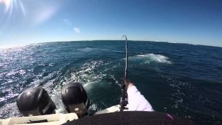 50KG GT topwater monte bello islands western Australia gt fishing [upl. by Reldnahc]