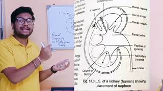 ICSE Class 10 PYQ biology [upl. by Nea]