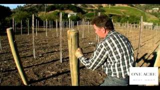 One Acre Napa Valley  Yountville AVA  Episode 3 End post anchors [upl. by Akemrej]