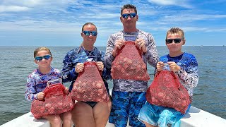 Florida bay scallops Catch Clean Cook [upl. by Elston740]