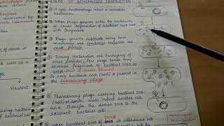 Transduction Genetic recombination in bacteria [upl. by Afihtan259]