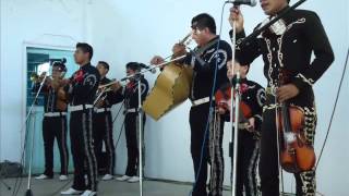 MARIACHI NUEVA ESPERANZA DE TAMAZUNCHALE SLP [upl. by Ahusoj]