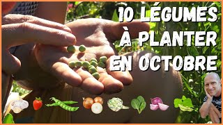 10 légumes à planter en octobre au potager [upl. by Kleper642]