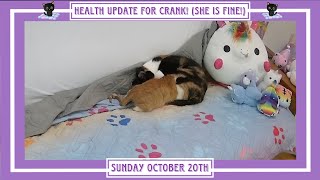 Health Update for Crank she is fine  Sunday October 20th [upl. by Nivrac]