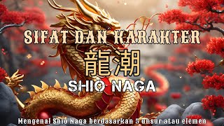 MENGENAL SHIO NAGA BERDASARKAN 5 ELEMEN  SIFAT DAN KARAKTER SHIO NAGA shionaga [upl. by Holden]