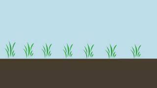 Soil Carbon Sequestration [upl. by Adnert]