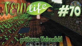 größeres Weizenfeld in Minecraft New Life 70 [upl. by Capps]