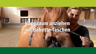 Wie ziehe ich den Kappzaum an Babette Teschen zeigt Dir wie Du es richtig machst [upl. by Enetsuj691]