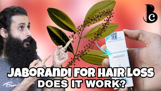 Jaborandi  A Natural Treatment For Hair Loss Balding amp Hair Growth  Bearded Chorka [upl. by Ecadnarb813]