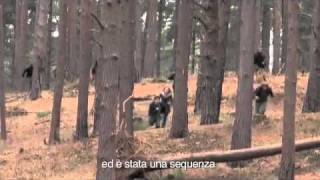 Harry Potter e i Doni della Morte parte 1  Clip Forest Run [upl. by Nosnehpets]