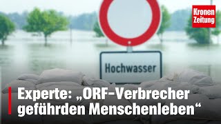 Experte „ORFVerbrecher gefährden Menschenleben“  kronetv NEWS [upl. by Erica]