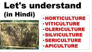 Difference bw HORTICULTURE VITICULTURE OLERICULTURE SILVICULTURE SERICULTURE amp APICULTURE [upl. by Acessej]