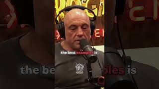 Joe Rogan on Anxiety joerogan motivation mindset [upl. by Yruam]