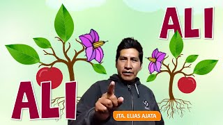 AYMARA PARA NIÑOS PARTES DE LA PLANTA [upl. by Ahseiyn218]