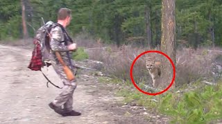 6 Mountain Lion Encounters That Will Horrify You [upl. by Chrisse508]