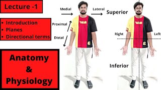 Anatomy and Physiology  Introduction  Anatomical Planes  Directional Terms  Hindi [upl. by Nnyre760]