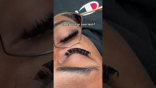 Different Lashes Application Tutorial volashes lashes lashtutorial [upl. by Ayle798]