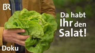 Knackig grün gesund Schmidt Max und der Salat  freizeit  Doku  BR [upl. by Kaufman989]